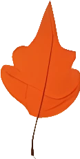 Downloadable Transparent Leaf PNG Image_8.webp